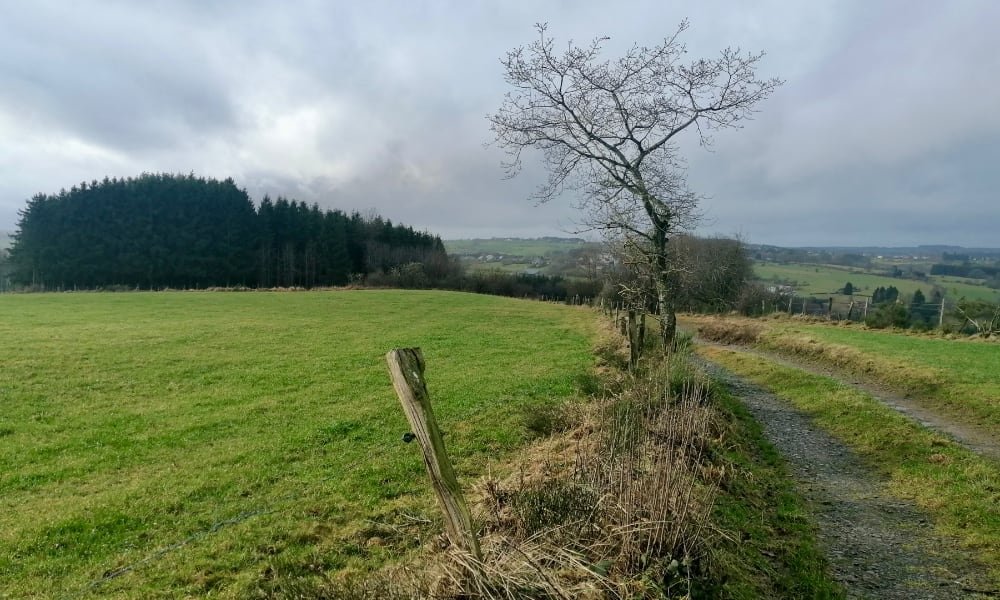Zwerven door de Eifel met Oud & Nieuw 2023/2024